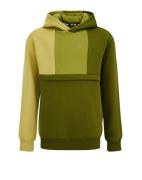 WE Fashion Sweatshirt  grøn