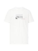 SELECTED HOMME Bluser & t-shirts  grå / hvid