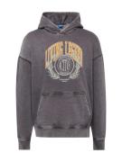 JACK & JONES Sweatshirt 'LEGEND'  gul / basalgrå / mørkegrøn