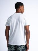 Petrol Industries Bluser & t-shirts 'Sandcastle'  oliven / hvid