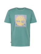 TIMBERLAND Bluser & t-shirts  cyanblå / curry / lilla