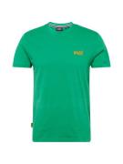 Superdry Bluser & t-shirts  gul / grøn