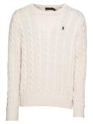 Polo Ralph Lauren Pullover 'Driver'  uldhvid