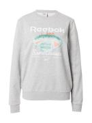 Reebok Sportsweatshirt  grå / grøn / melon / hvid