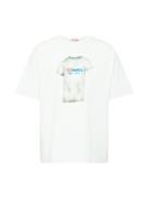 DIESEL Bluser & t-shirts 'T-BOXT-N12'  blå / grå / lys rød / hvid
