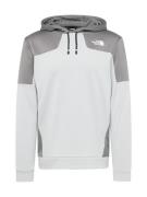 THE NORTH FACE Sportsweatshirt  grå / lysegrå