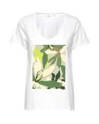 Cream Shirts 'Sissel'  oliven / græsgrøn / lysegrøn / mørkegrøn / hvid
