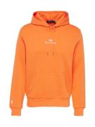 Polo Ralph Lauren Sweatshirt  orange / hvid
