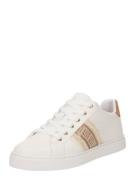ALDO Sneaker low 'PALAZZI'  beige / brun / hvid