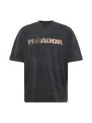 Pegador Bluser & t-shirts 'FILBERT'  beige / lyseblå / sort / hvid
