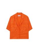 Scalpers Bluse  orange