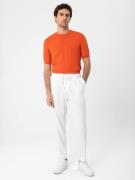 Antioch Bluser & t-shirts  orange