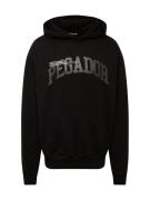 Pegador Sweatshirt 'GILFORD'  antracit / sort / hvid