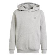 ADIDAS ORIGINALS Sweatshirt  grå