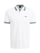 BOSS Bluser & t-shirts 'Paddy'  azur / sort / hvid