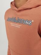 Jack & Jones Junior Sweatshirt 'Lakewood'  hummer / sort / hvid