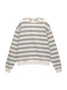 Pull&Bear Sweatshirt  lysebeige / grå