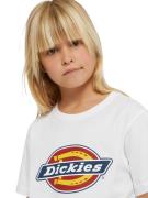 DICKIES Shirts  blå / orange / rød / hvid