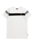 ELLESSE Shirts 'Caserio'  grå / sort / hvid