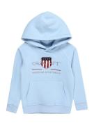 GANT Sweatshirt  lyseblå / røggrå / carminrød / hvid
