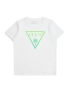 GUESS Shirts 'MINIME'  lime / lysegrøn / hvid