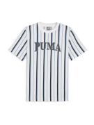 PUMA Bluser & t-shirts 'SQUAD'  himmelblå / grå / sort / hvid