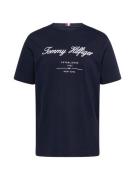 TOMMY HILFIGER Bluser & t-shirts  mørkeblå / rød / hvid