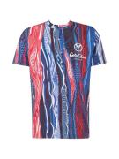 Carlo Colucci Bluser & t-shirts  blå / rød / vinrød / hvid