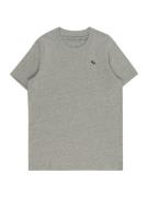 Abercrombie & Fitch Shirts  grå / grøn-meleret