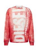 DIESEL Sweatshirt 'S-BUNT-BISC'  rød / hvid