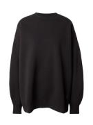 Jordan Sweatshirt  mørkegrå / sort