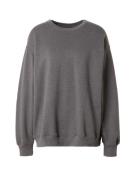 HOLLISTER Sweatshirt  grå