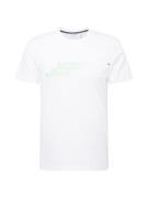 ANTONY MORATO Bluser & t-shirts  grøn / hvid
