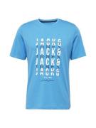 JACK & JONES Bluser & t-shirts 'JJDELVIN'  blå / marin / hvid