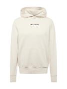 TOMMY HILFIGER Sweatshirt  beige / sort