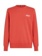 TOMMY HILFIGER Sweatshirt  blodrød / hvid