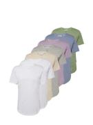 Only & Sons Bluser & t-shirts 'ONSMATT'  beige / blå / grå-meleret / g...