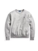 Polo Ralph Lauren Sweatshirt 'LS PO-LONG SLEEVE-KNIT'  grå