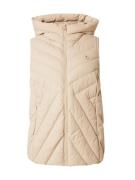 Tommy Hilfiger Curve Vest  beige