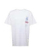 Denim Project Bluser & t-shirts 'Oceanville'  offwhite