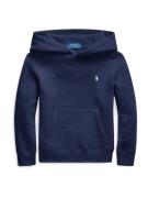 Polo Ralph Lauren Sweatshirt  navy / offwhite