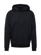 HOLLISTER Sweatshirt  sort