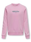 KIDS ONLY Sweatshirt  blandingsfarvet / pink