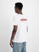 ALPHA INDUSTRIES Bluser & t-shirts  blodrød / sort / hvid