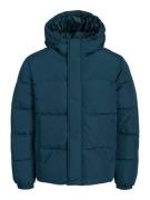 JACK & JONES Vinterjakke 'BRADLEY'  petroleum