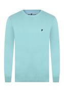 DENIM CULTURE Pullover 'Neroli'  aqua