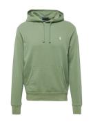 Polo Ralph Lauren Sweatshirt  siv / hvid