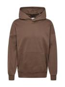 Only & Sons Sweatshirt 'ONSDAN'  brun