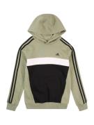 ADIDAS SPORTSWEAR Sportsweatshirt  khaki / sort / hvid