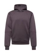 Champion Authentic Athletic Apparel Sweatshirt  grå / mørkegrå